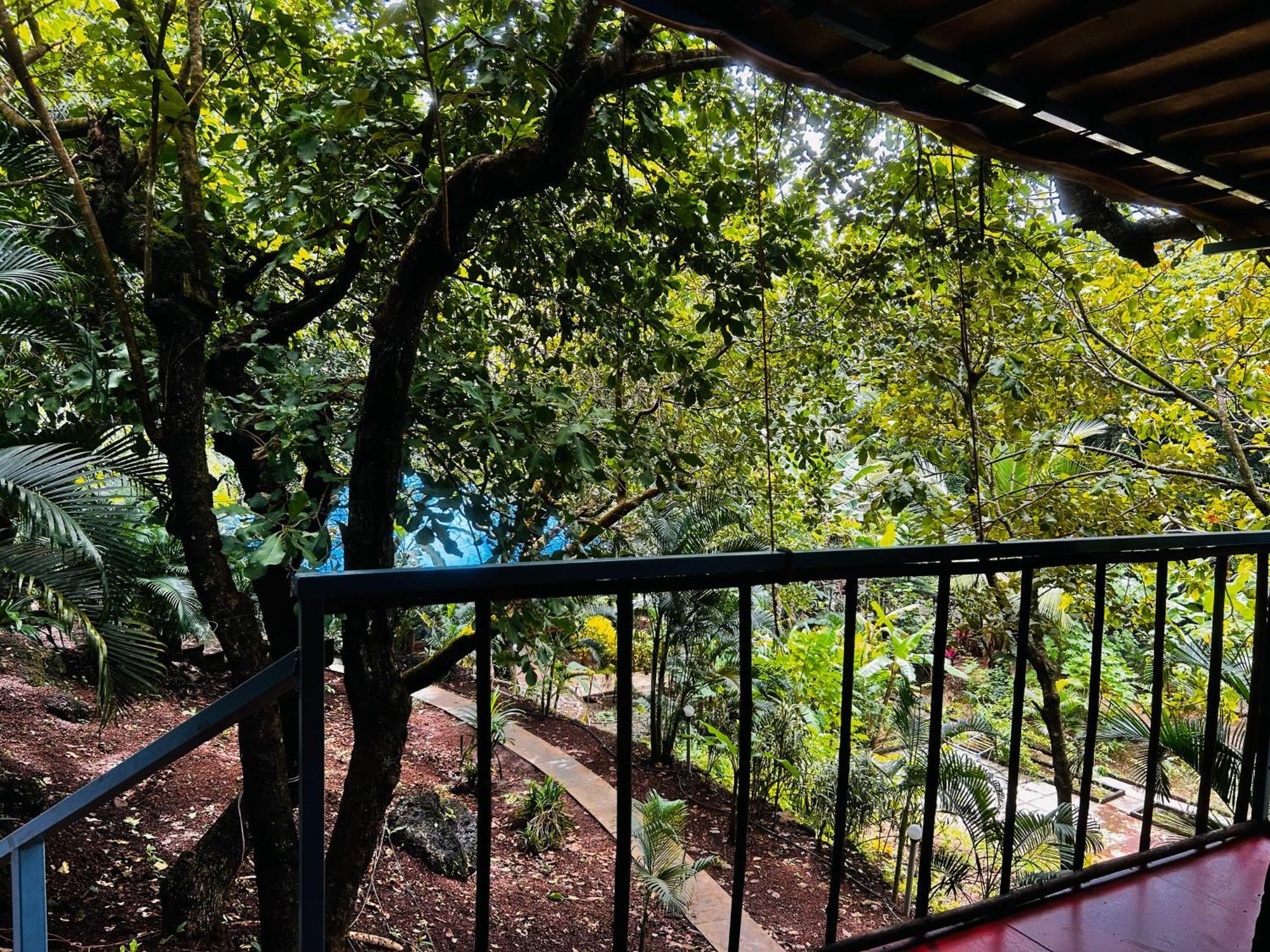 Samyama Retreat Ξενοδοχείο Cola Εξωτερικό φωτογραφία